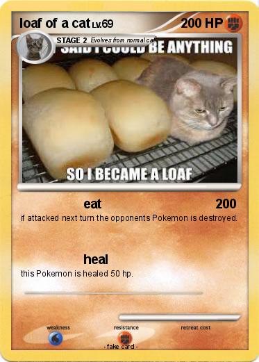 Pokemon loaf of a cat
