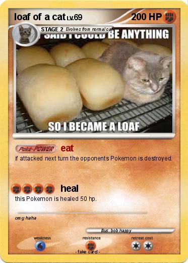 Pokemon loaf of a cat