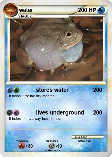 Pokemon water