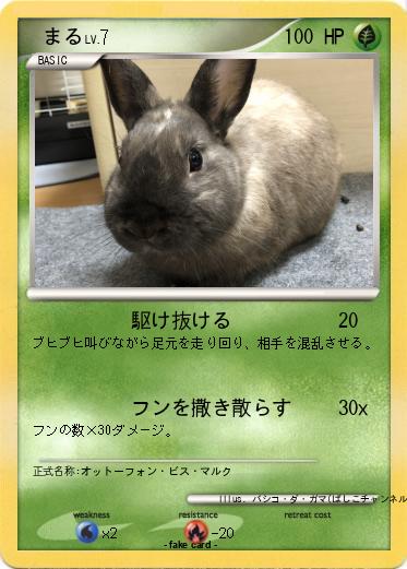 Pokemon 　まる