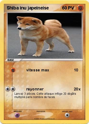 Pokemon Shiba inu japeineise