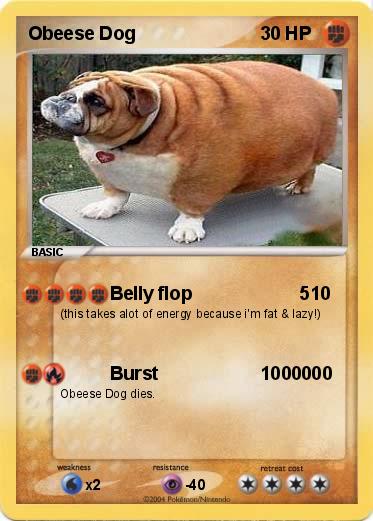 Pokemon Obeese Dog