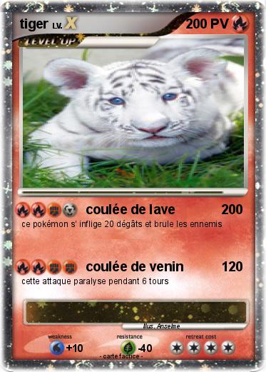 Pokemon tiger