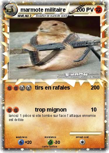 Pokemon marmote militaire