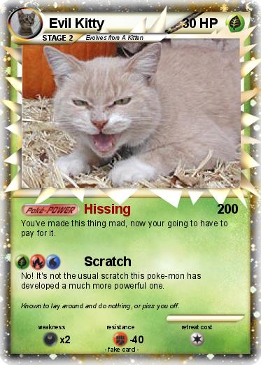 Pokemon Evil Kitty