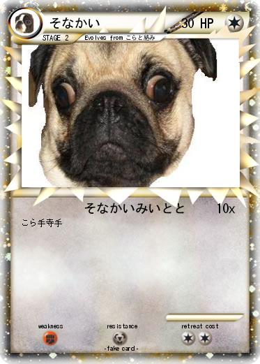 Pokemon そなかい