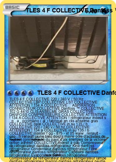 Pokemon TLES 4 F COLLECTIVE Danfoss ™