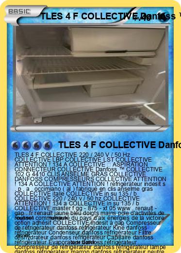 Pokemon TLES 4 F COLLECTIVE Danfoss ™