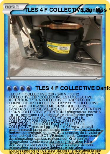 Pokemon TLES 4 F COLLECTIVE Danfoss ™