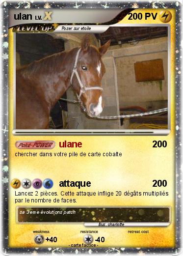 Pokemon ulan
