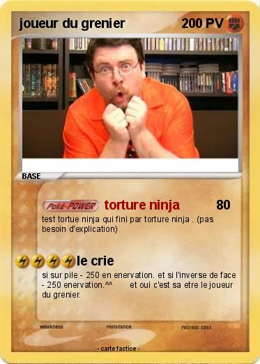 Pokemon joueur du grenier