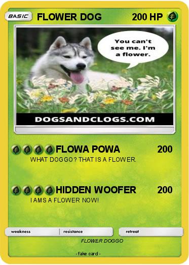 Pokemon FLOWER DOG