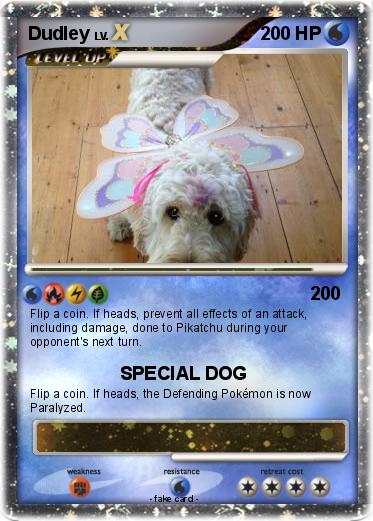 Pokemon Dudley
