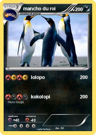 Pokemon mancho du roi
