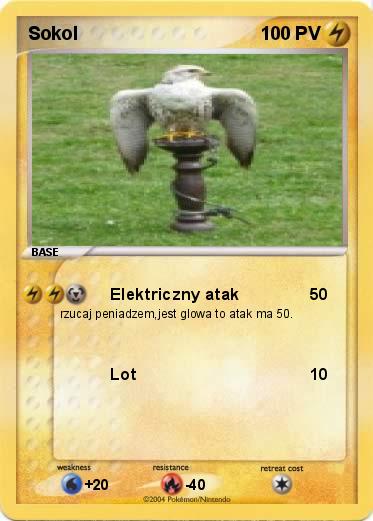 Pokemon Sokol