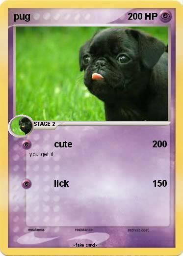 Pokemon pug