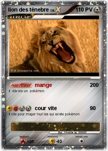 Pokemon lion des ténebre