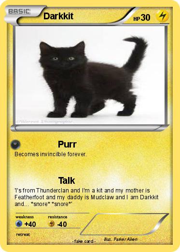 Pokemon Darkkit