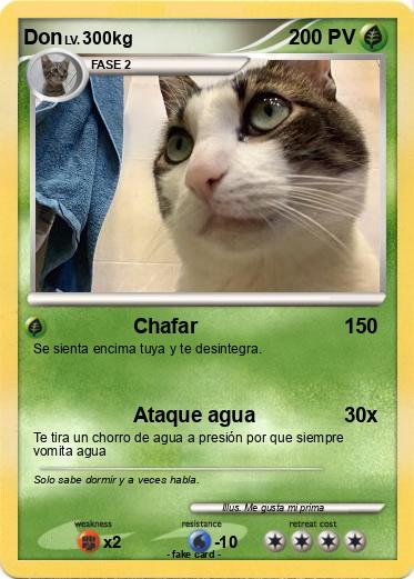 Pokemon Don