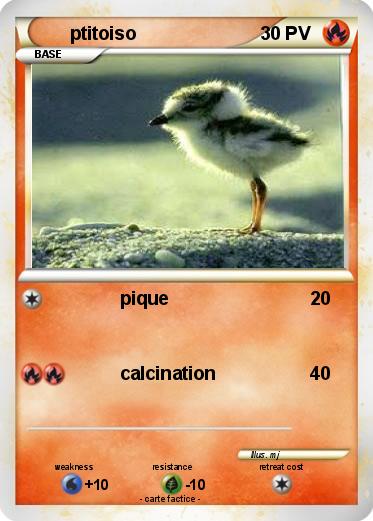 Pokemon ptitoiso