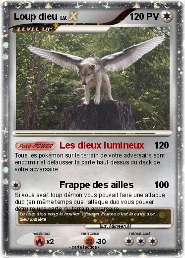 Pokemon Loup dieu