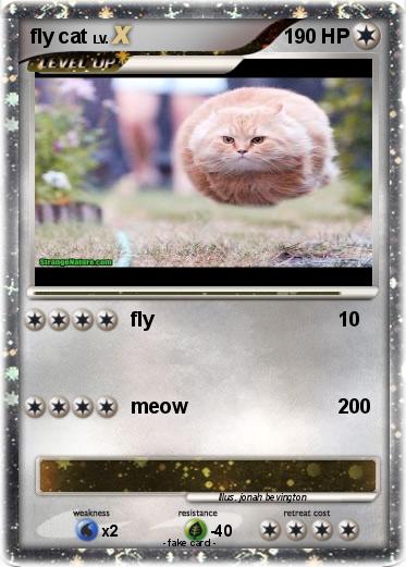 Pokemon fly cat