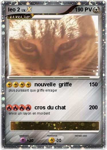 Pokemon leo 2