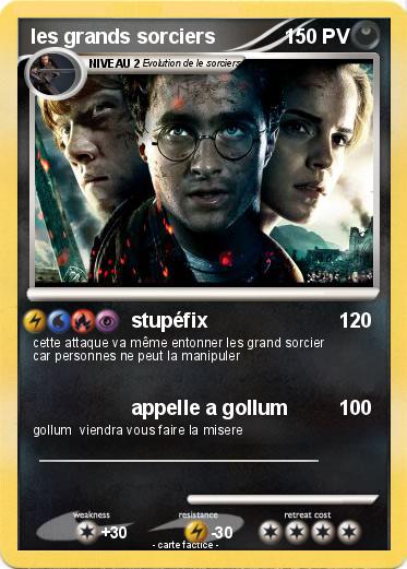 Pokemon les grands sorciers