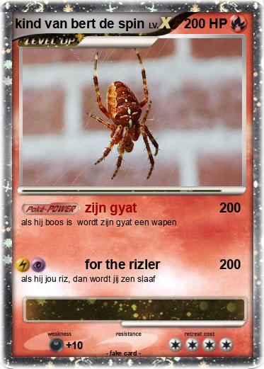 Pokemon kind van bert de spin