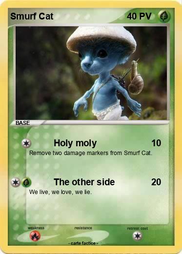 Pokemon Smurf Cat