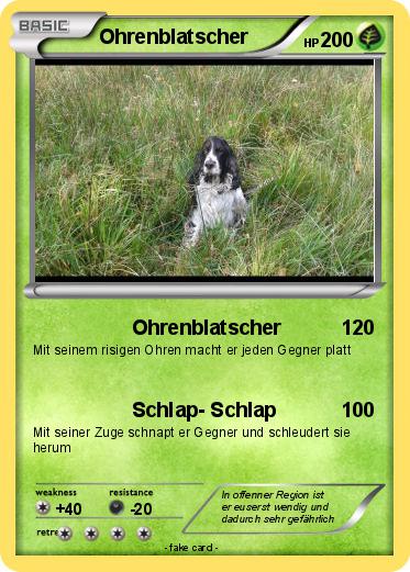 Pokemon Ohrenblatscher