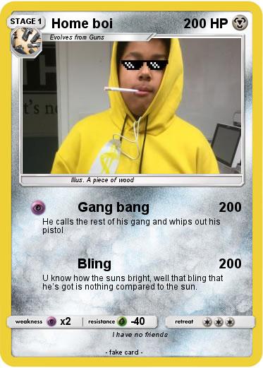 Pokemon Home boi