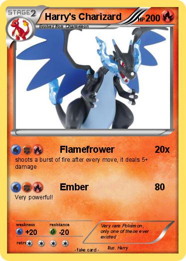 Pokemon Harry's Charizard