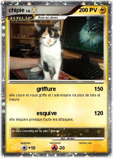 Pokemon chipie