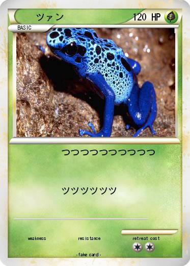 Pokemon ツァン
