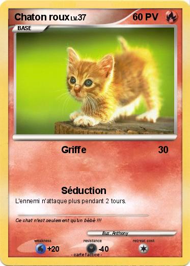 Pokemon Chaton roux