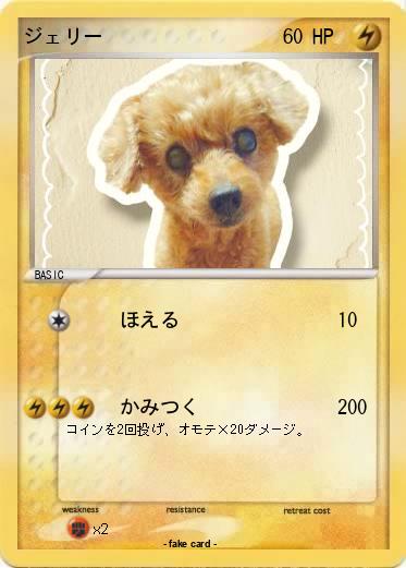 Pokemon ジェリー