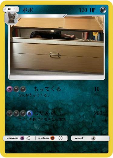 Pokemon ポポ