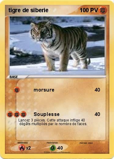 Pokemon tigre de siberie 