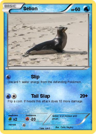 Pokemon Selion