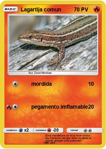 Pokemon Lagartija comun