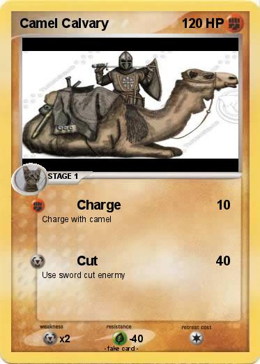 Pokemon Camel Calvary