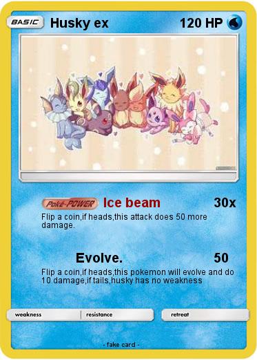 Pokemon Husky ex