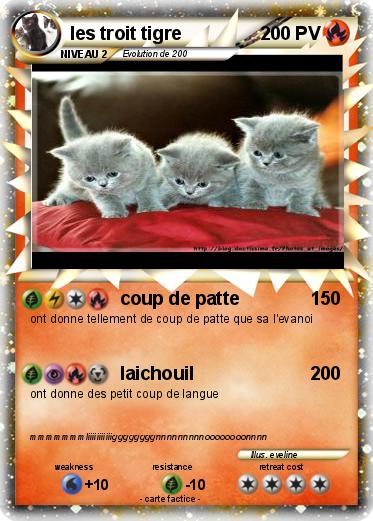 Pokemon les troit tigre