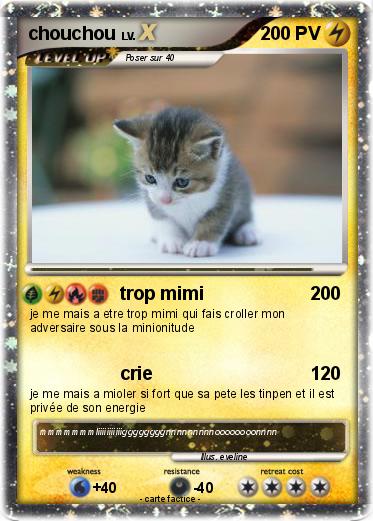 Pokemon chouchou