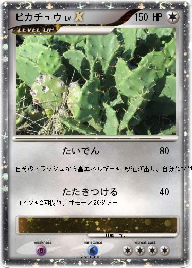 Pokemon ピカチュウ