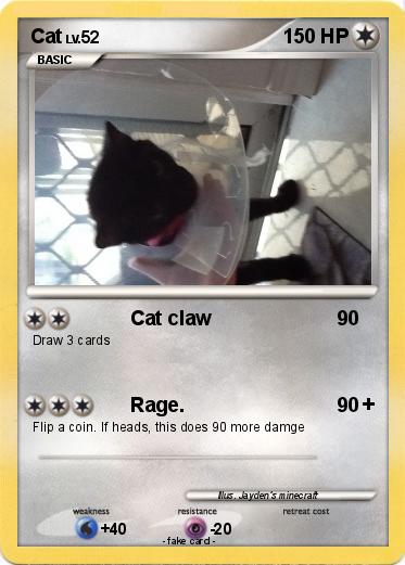 Pokemon Cat