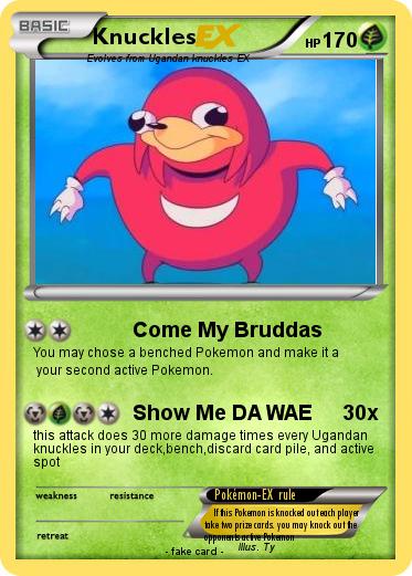Pokemon Knuckles