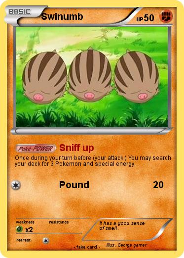 Pokemon Swinumb