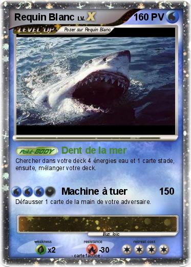Pokemon Requin Blanc